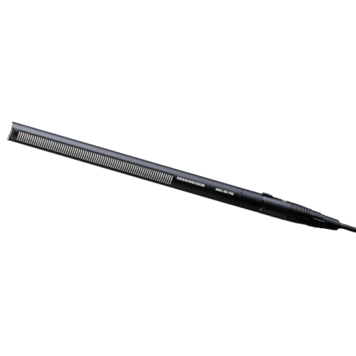 Sennheiser MKH 416 + Rycote Softie